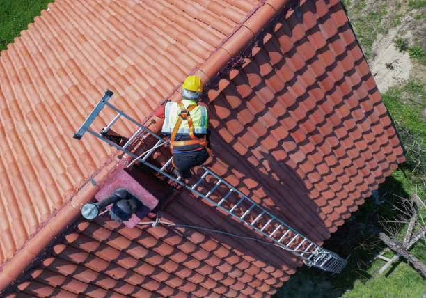 Best Roof Moss and Algae Removal  in Cross Mountain, TX